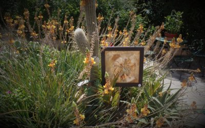 Natur'Art