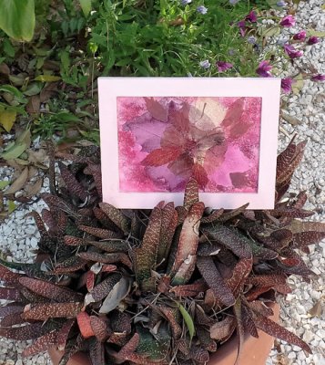Natur'Art