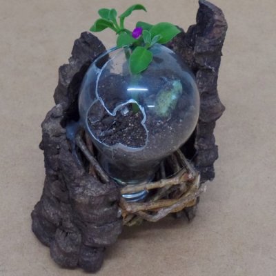 Vases