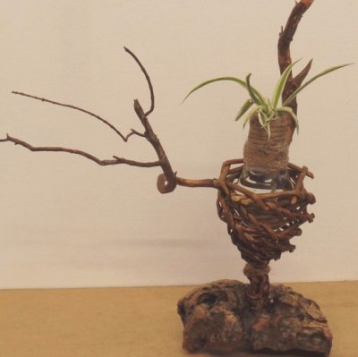 Vases
