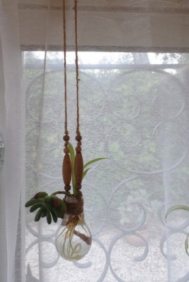 Vases