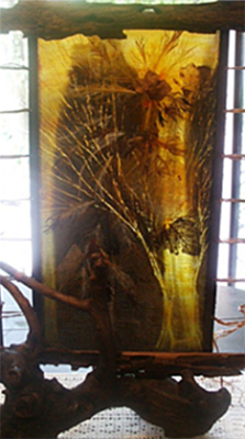 Rétrospective - Transparence