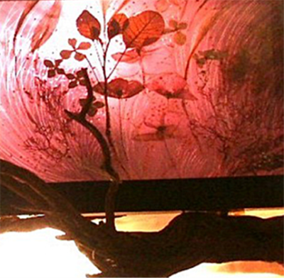Rétrospective - Transparence