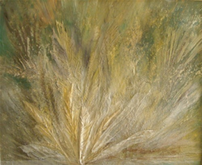 Rétrospective - Nature