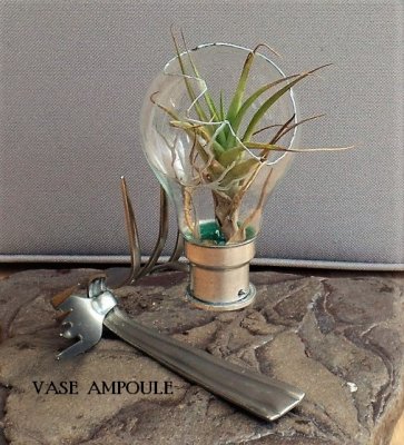 Vases
